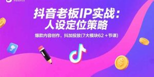 抖音老板IP实战:人设定位策略,爆款内容创作,抖加投放(7大模块62+节课-淘米帮