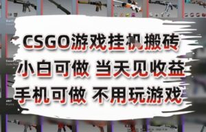 CSGO游戏挂G搬砖，小白纯手机即可操作，不用电脑打游戏，日入3张+，副业网创项目【揭秘】-淘米帮