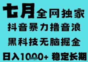 7月最新风口抖音无人直播撸音浪,长期稳定,非短期,全自动运行,低门槛无脑,日入1k+【揭秘】-淘米帮