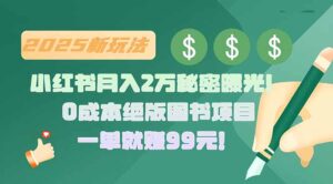 小红书月入2万秘密曝光!绝版图书项目,一单就赚99元!-淘米帮