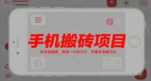 手机搬砖项目,有手就能做,亲测一小时几十,苹果安卓都可以-淘米帮