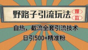 2024首发野路子引流玩法截流自热全平台打法,全自动引流【日引2000+精准客户】-淘米帮