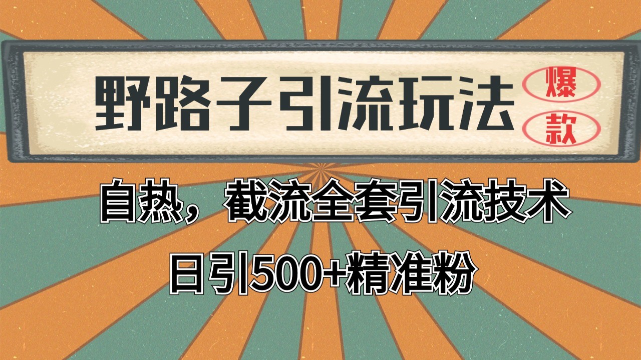 2024首发野路子引流玩法截流自热全平台打法，全自动引流【日引2000+精准客户】-淘米帮