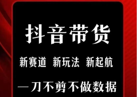 抖音短视频一刀不剪带货，不剪辑，不直播，每天发个视频，等着出单获取带货佣金-淘米帮