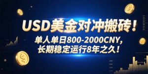 USD美金对冲搬砖!单人单日800-2000CNY，长期稳定运行8年之久!-淘米帮
