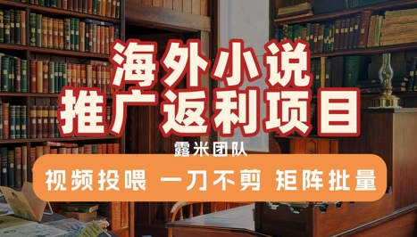 海外小说推广返利项目，视频投喂， 一刀不剪，矩阵批量-淘米帮