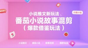 小说推文新玩法，番茄小说故事混剪(爆款借鉴玩法)-淘米帮