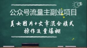 公众号流量主副业项目,美女图片+文章混合模式操作流量爆棚-淘米帮