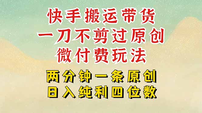 快手黑科技搬运带货，一刀不剪过原创，微付费投流玩法，轻松日入四位数…-淘米帮