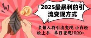 2025年最暴利的引流变现方式，负债人群引流变现，小白轻松上手，日入1k-淘米帮