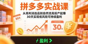 拼多多实战课:从高利润选品到自然流高投产起爆 30天实现低风险可持续盈利-淘米帮
