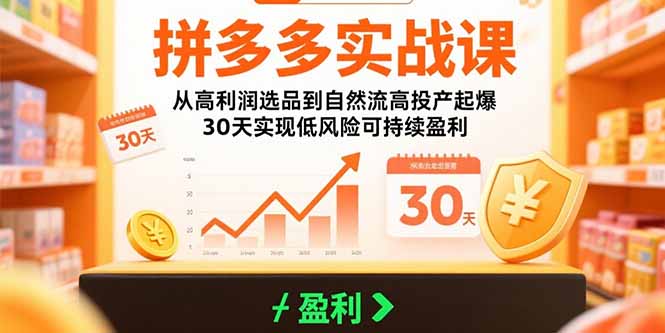 拼多多实战课：从高利润选品到自然流高投产起爆 30天实现低风险可持续盈利-淘米帮