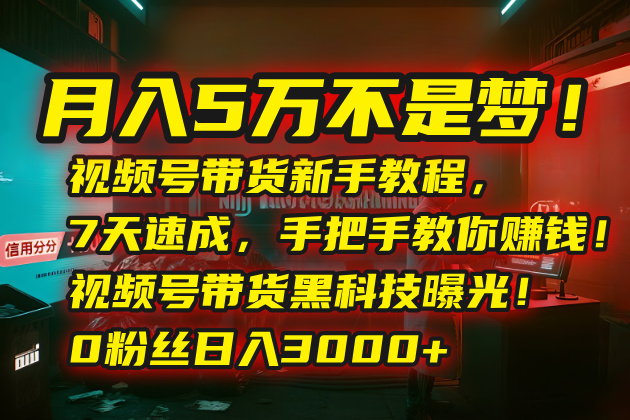 月入5万不是梦！视频号带货新手教程，7天速成，手把手教你赚钱！视频号…-淘米帮