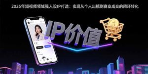 2025年短视频领域人设IP打造：实现从个人出镜到商业成交的闭环转化-淘米帮