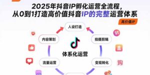 2025年抖音IP孵化运营全流程,从0到1打造高价值抖音IP的完整运营体系-淘米帮