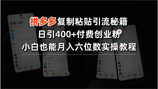 拼多多复制粘贴引流秘籍，日引400+付费创业粉，小白也能月入六位数实操…-淘米帮
