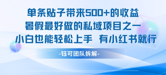 单条贴子带来5张的收益，暑假最好做的私域项目之一，小白也能轻松上手，有小红书就行-淘米帮