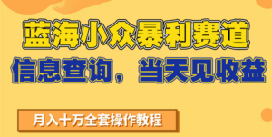 蓝海小众暴利赛道，信息查询，当天见收益，不讲玄学，7天搞了2万+-淘米帮