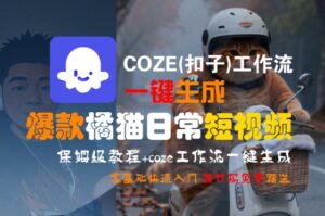 COZE(扣子)工作流一键生成爆款橘猫日常短视频,保姆级教程,零基础快速入门-淘米帮