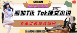 海外tiktok小说推文暴力项目，高停留率，高转化率，上手后一天搞顿饭钱不是问题-淘米帮