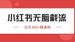 小红书截流同行客源,独家野路子获客玩法 日引200+暴力获客-淘米帮