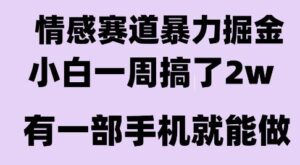 情感暴力掘金项目，新人操作一周挣了2W，长期稳定小白可做【揭秘】-淘米帮