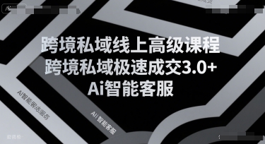 跨境私域线上高级课程，跨境私域极速成交3.0+Ai智能客服-淘米帮