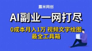 AI副业一网打尽0投入月入1万+视频文字绘图最全工具箱-淘米帮