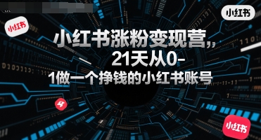 小红书涨粉变现营，21天从0-1做一个挣钱的小红书账号-淘米帮
