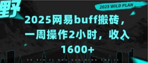 2025网易buff搬砖,一周操作2小时,收入1600+-淘米帮