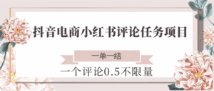 抖音电商小红书评论任务项目,一个评论0.5,一单一结 不限量-淘米帮