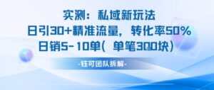 实测私域新玩法日引30加精准流量转化率50%日销5-10单每笔3张-淘米帮
