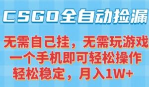CSGO自动捡漏项目,最新独家玩法,一个手机可操作,新手小白轻松月入1W+,操作简单易上手【揭秘】-淘米帮