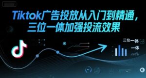 Tiktok广告投放从入门到精通,三位一体加强投流效果-淘米帮