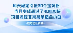 每天稳定引流30个人 当月变成超过了4个W项目流程非常简单适合小白-淘米帮