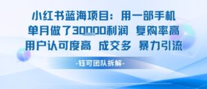 小红书蓝海项目,一部手机单月做了3W利润,小白也能月入过1W用户认可度高成交多-淘米帮