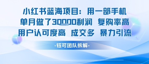 小红书蓝海项目，一部手机单月做了3W利润，小白也能月入过1W用户认可度高成交多-淘米帮