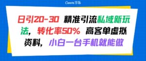 日引 20-30 精准引流私域新玩法,转化率50% 高客单虚拟资料,小白一台手机就能做-淘米帮