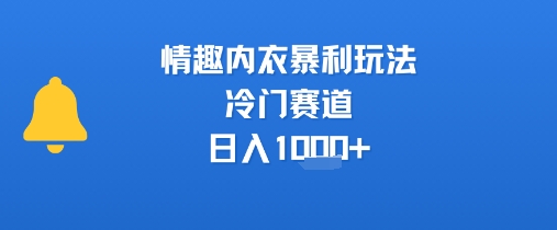 情趣内衣暴利玩法，冷门赛道，日入1k+-淘米帮