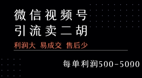 视频号卖二胡教程，利润大 易成交 售后少，一单利润5张+-淘米帮