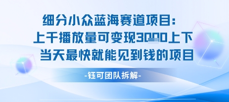 小众蓝海赛道项目：当天变现1k+适合新手操作 +适合长期玩-淘米帮