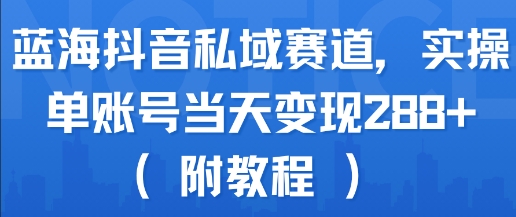 蓝海抖音私域赛道，实操单账号当天变现288+(附教程)-淘米帮