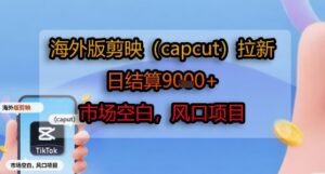 海外版剪映(capcut)拉新，日结算1k+，市场空白，风口项目-淘米帮