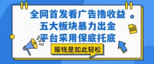 全网首发看广告撸收益，五大板块暴力出金，平台采用保底托底，挣钱是如此轻松作【揭秘】-淘米帮