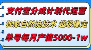 支付宝分成计划代运营，独家自然流技术，收益稳定，单号月产5000＋-淘米帮