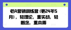 老A营销训练营(更25年7月),轻理论,重实战,轻概念,重本质-淘米帮
