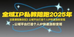 全域IP私教陪跑2025年,这套课程教你在公域平台打造个人IP快速涨粉变现-淘米帮