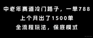 中老年赛道冷门路子，一单788，上个月出了1500单，全流程玩法，保底模式【揭秘】-淘米帮