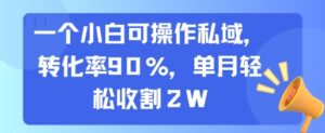 一个小白可操作私域，转化率90%，单月轻松收割2W-淘米帮