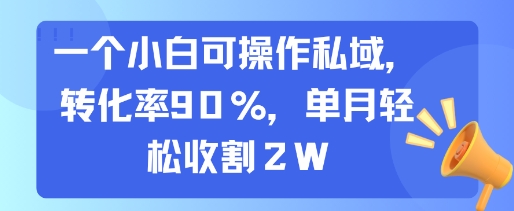 一个小白可操作私域，转化率90%，单月轻松收割2W-淘米帮